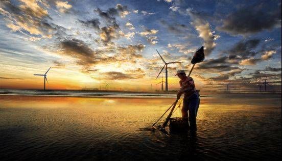 南通启东恒大碧海银沙搁浅的座头鲸标本展览馆即将建成