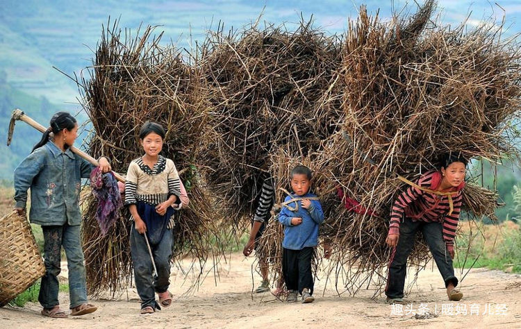 一个小男孩的孩子