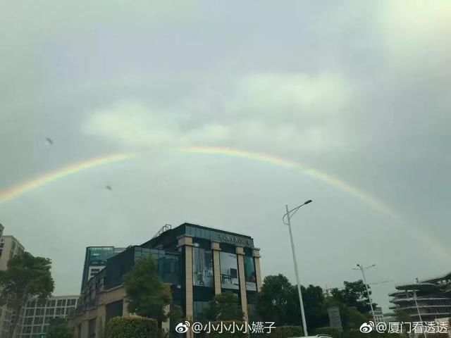 暴雨+雷电！厦门气象台连发预警，大风大雨已到！今晨竟出现了双