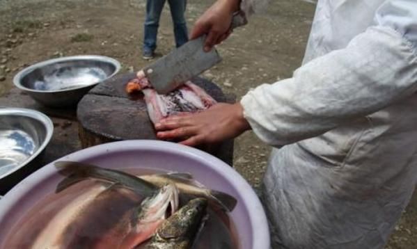 这湖有80万吨野生鱼,对鱼来说是天堂,却是钓友的地狱