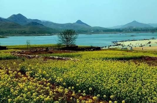 清明踏青赏花何处去？这份赏花地图请收好！