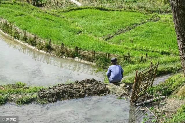 农村村霸已转型，对农民危害更大，治理村霸的关键，在于识别村霸