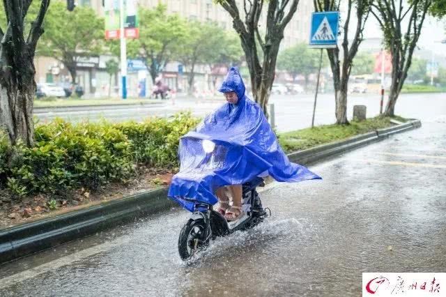 别外出！雷暴雨即将来临，7区黄色预警生效！这个信号出现自动停