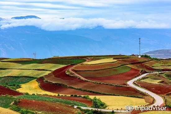 挑战认知!世界上具有魔力的15个地方，血红色瀑布，午夜有太阳!