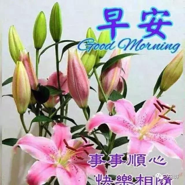 2018特漂亮早上好图片动态带字