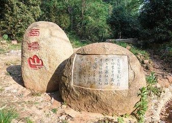 新六大茶山普洱茶山中的新贵