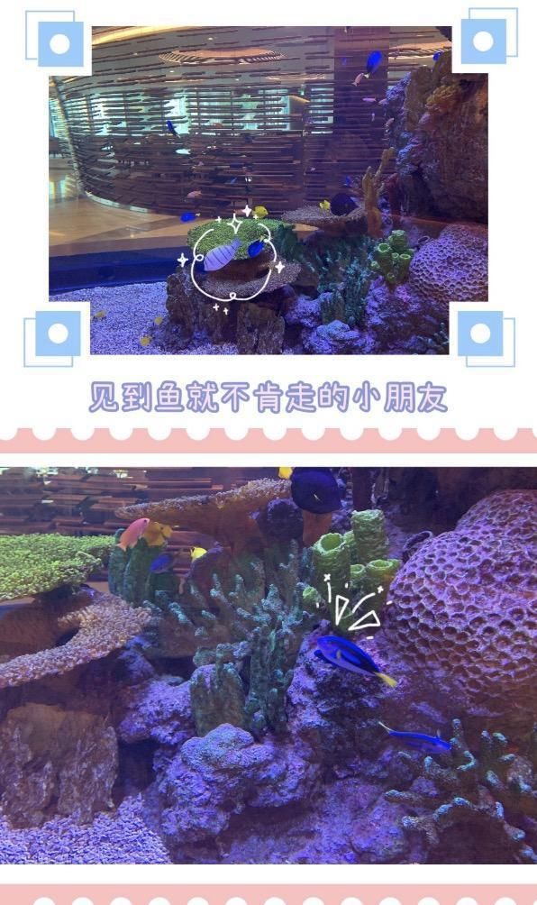 方媛分享生活日常，晒健身照气质极佳，扮迪士尼公主少女感满满