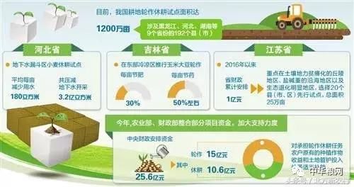 2018年休耕每亩最高补助800元，玉米大豆轮作补150元