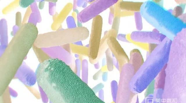 预包装食品包括哪些