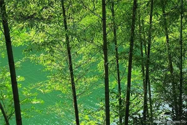 又是一年高考季,10首励志古诗祝天下学子长风破浪