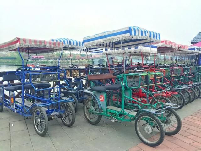 青白江凤凰湖的樱花终于开了，门票免费，再也不用去日本看樱花啦