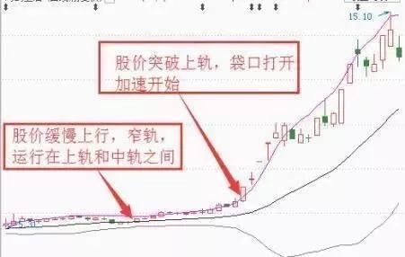 中国股市上演“饿狼传说”，股民骂声一片，是谁在摧毁中国股市？