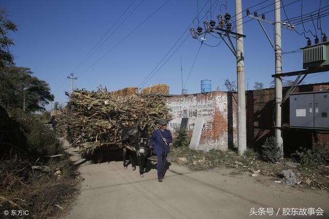 过年才有机会吃一次驴肉，老辈烟台农村人的春节记忆