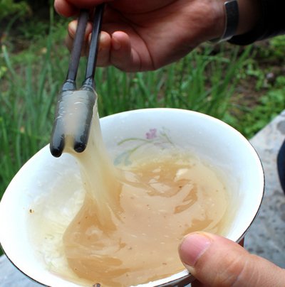 农民种植的这个东西，一年获利几十万！