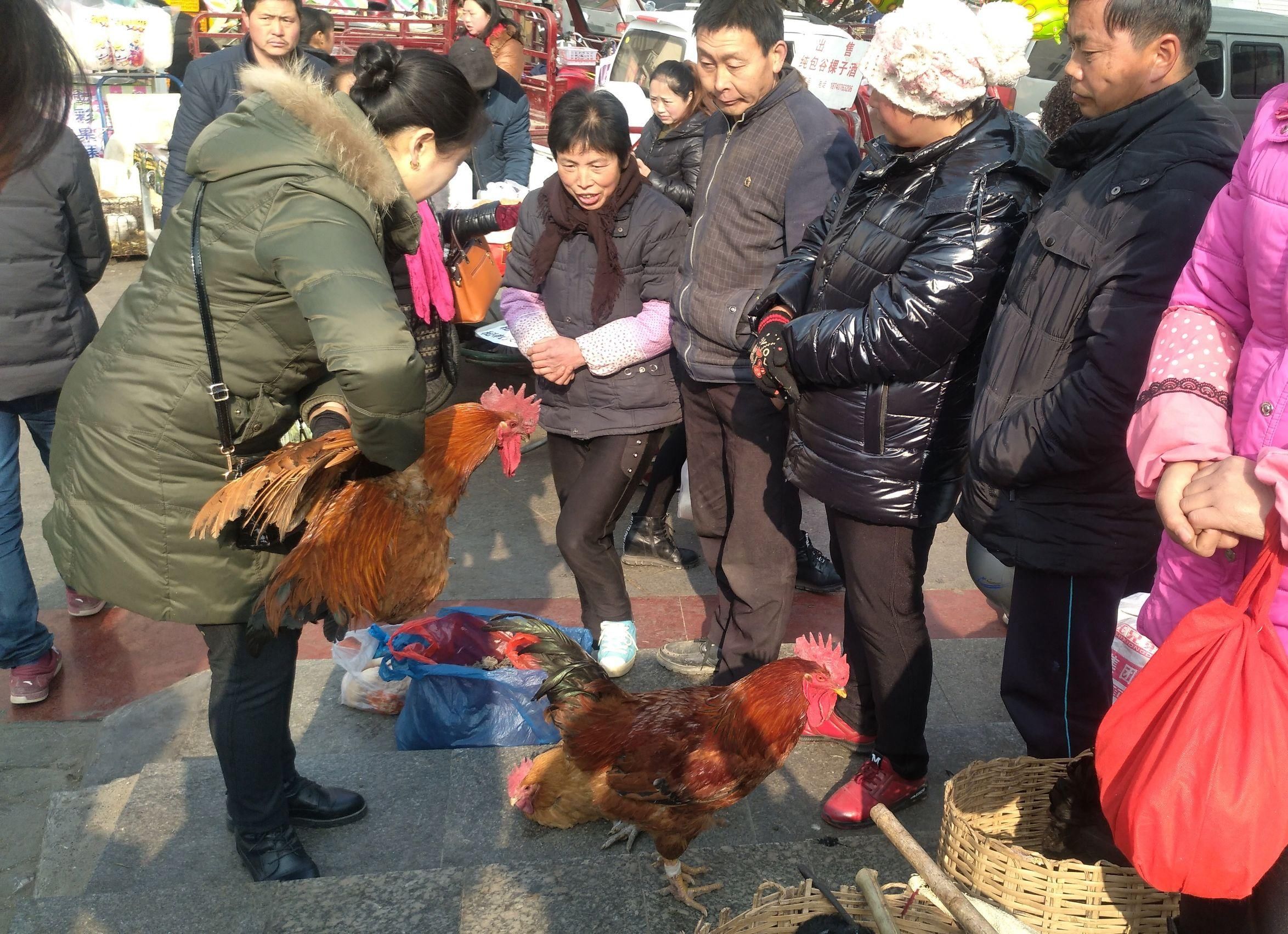 陕西土特产走俏年货市场 汉中农民半夜走路进城摆摊