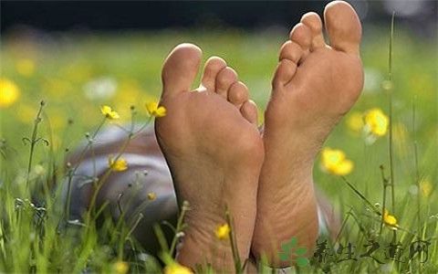 脚上有灰指甲用什么药