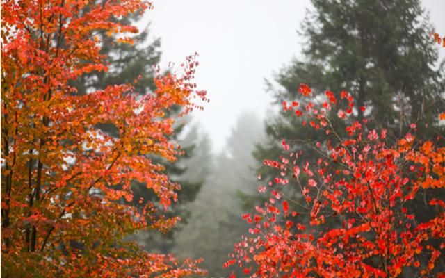 不好意思 ,我要去雅安了