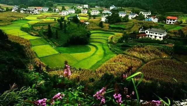 三月花开正艳,宜昌各地踏青赏花活动异彩纷呈