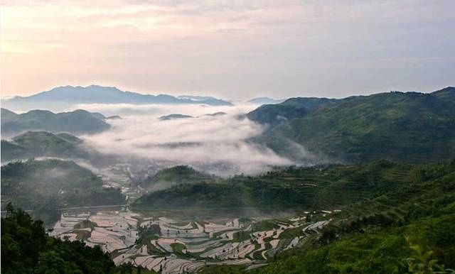 夏至未至，温州的风刚刚好！山间、水旁、乡野、海边……走起吧~