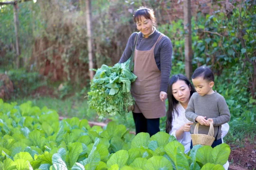 我在梨花盛开的听紫云，候你佳音！