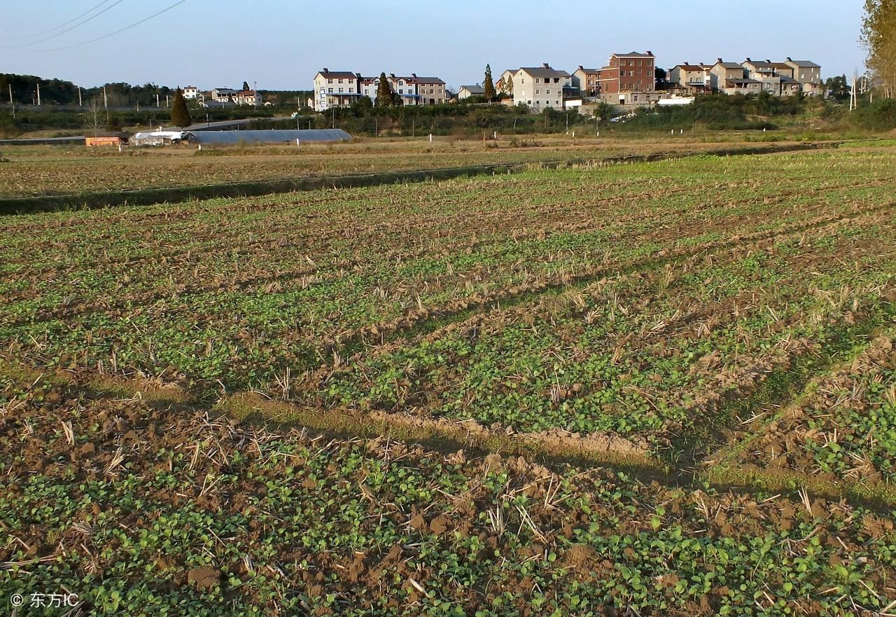 农民2018年土地确权以后，20岁以下没有土地的人应该怎么办呢