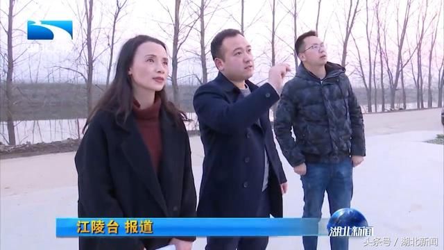 李霞：希望国家支持荆州江陵建成国家区域性交通物流枢纽