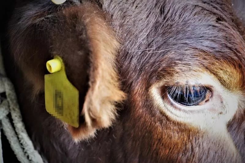 贫困户证明怎么写