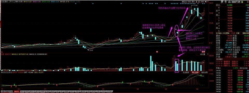 物流第一龙头，再现跳空双阴洗盘形态，老股民:买入就是10倍暴涨