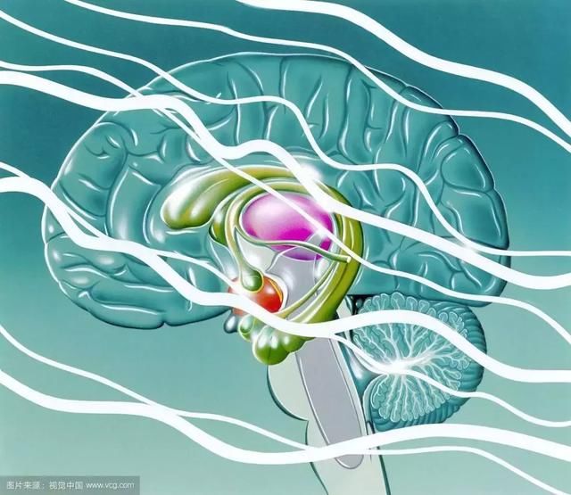 生酮饮食抗癫痫离不开肠道菌群