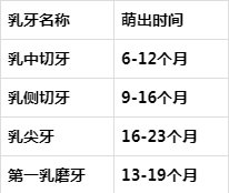 说了你可能不信,其实每颗牙都是有名字的 ibet国际平台登录