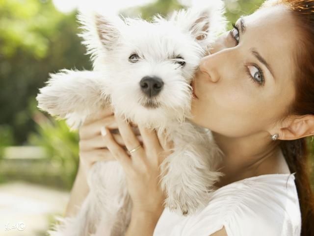 2018农村致富项目,乡镇8个未来十大暴利行业