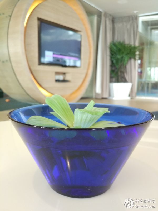 酒店民宿控之住店记录 篇十四:普吉岛Amari酒店