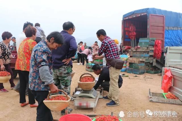 莱阳大野头的小樱桃熟了，看果农卖樱桃的场景