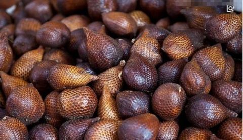 蛇是什么时候换皮 t011fd1dafe3f9aeb30.jpg