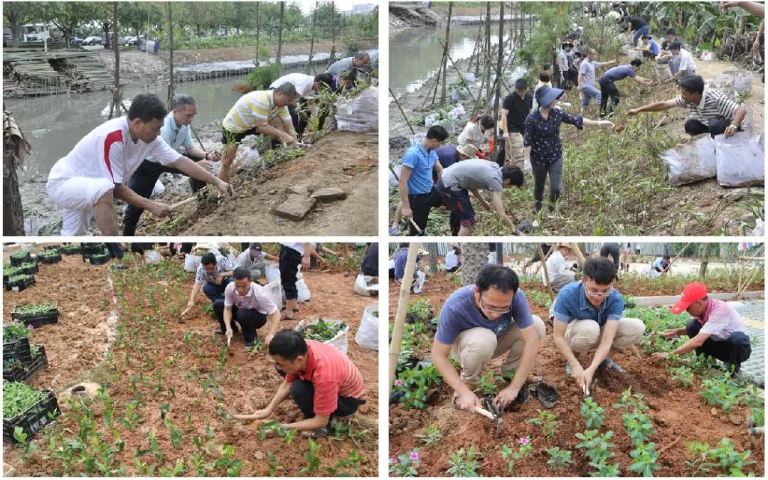 探秘！东莞这14条村实现“蝶变”！村民每天生活在公园里！