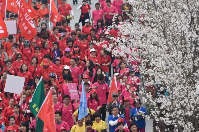 5000人一起徒步看樱花？！人从众，花美，人更美！