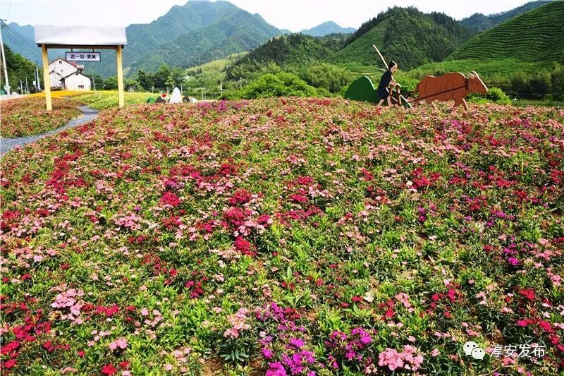 重磅！杭黄铁路即将进入静态验收！奉上大杭州的这些站点最新情况