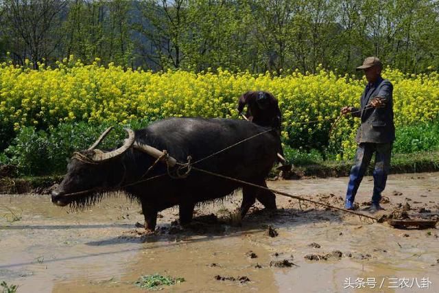 养老金“十四连涨”，三类人将获益，两类人享受不到!有你吗