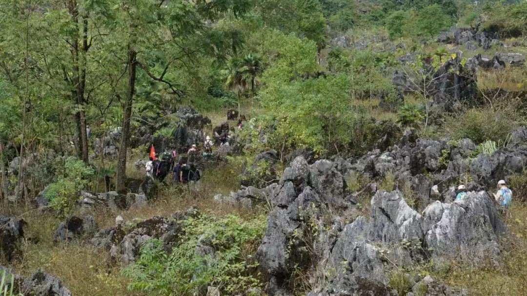 传说中的徒步天堂！广东这处秘境伫立于险峰之巅，登顶须越过999