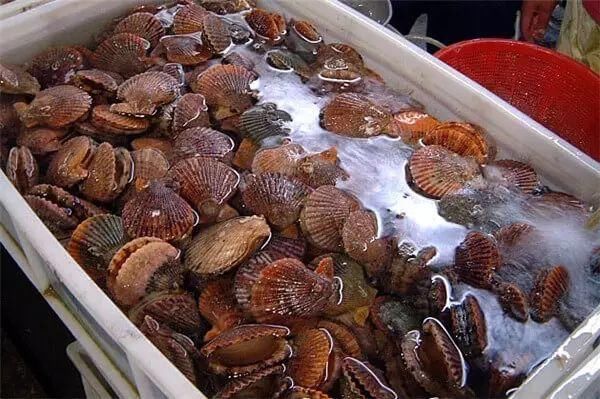 怎么做海鲜拼盘简单 t012043d03a6fee39b8.jpg