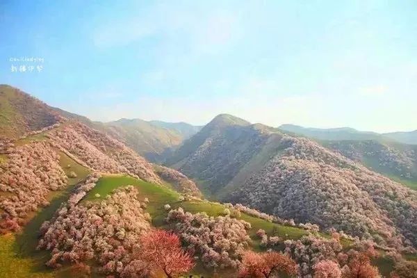 【每月在路上】三月,送你最in的赏花攻略,十大赏花胜地,愿你不