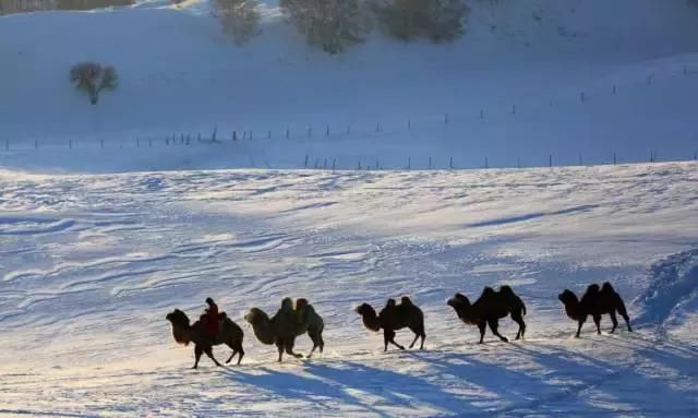 实拍张家口草原天路大雪，这样的寂静你见过吗