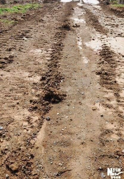 梦境的温柔慰藉，梦见过世妈妈微笑对我言语的深层预兆解析