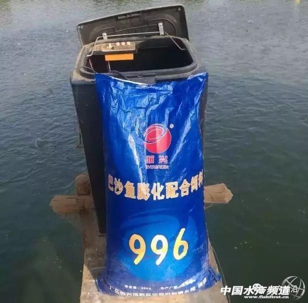 巴沙鱼或要引爆华南水产养殖业