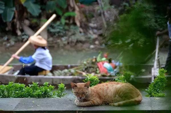 广州最适合一日游的免费景点，收好，够你任性玩一整年!