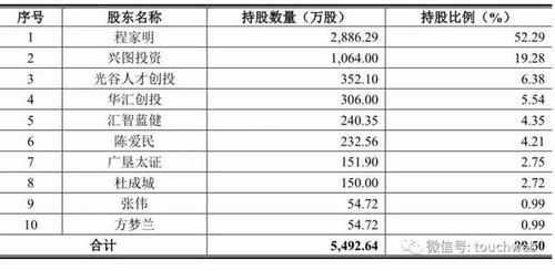 武汉科创板上市公司