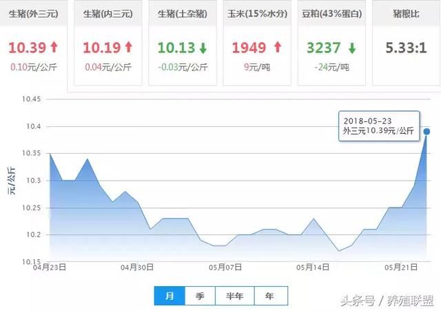 涨势越来越猛，大集团力挺猪价，要小心背后有陷阱 !