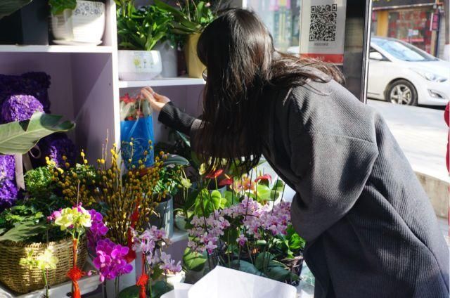 鲜花迎春，“临潼君”邀您一起来选花 | 西安年?最中国