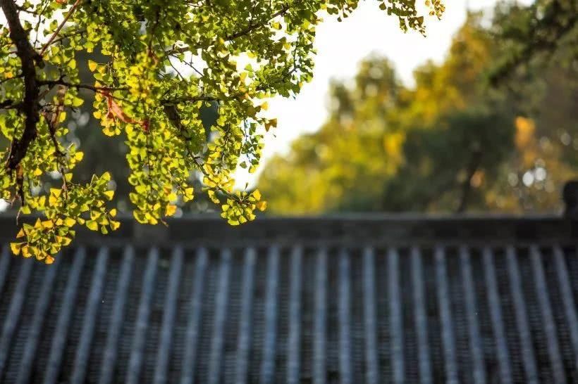 河南洛阳宜阳灵山寺风景图片