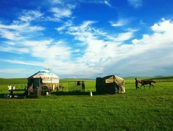 最后一片净土呼伦贝尔大草原,那里有清新的空气